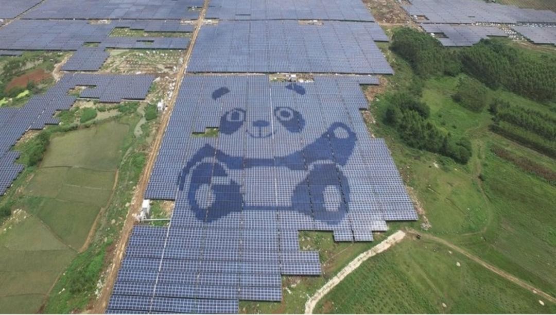 Solar Farm